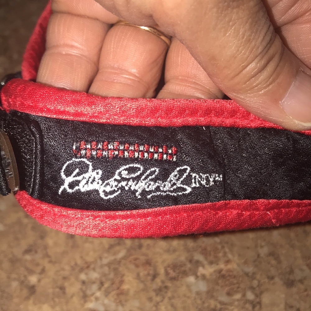 NWOT Dale Jr. Racing Visor - Picture 6 of 8
